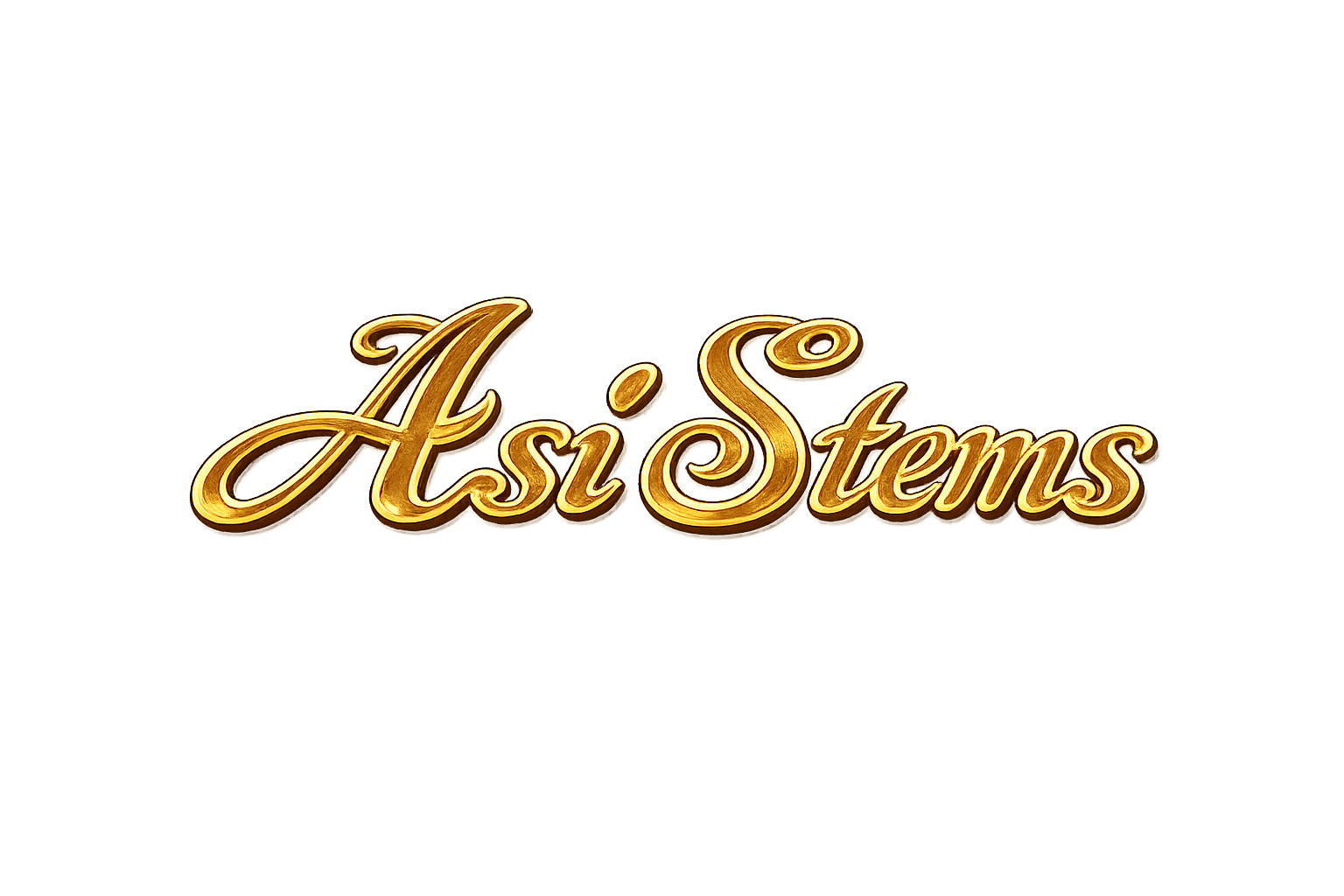 AsiSistems